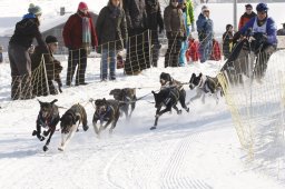 Lenk 2012 SM
